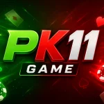 PK11 Game